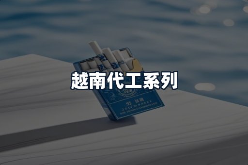 越南代工系列